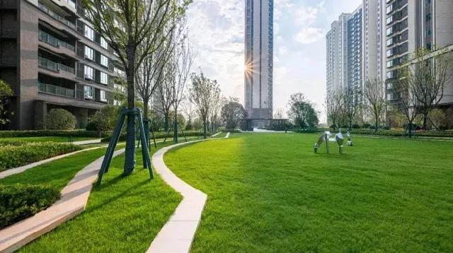 郯城买房，千万别忽略了这个软实力