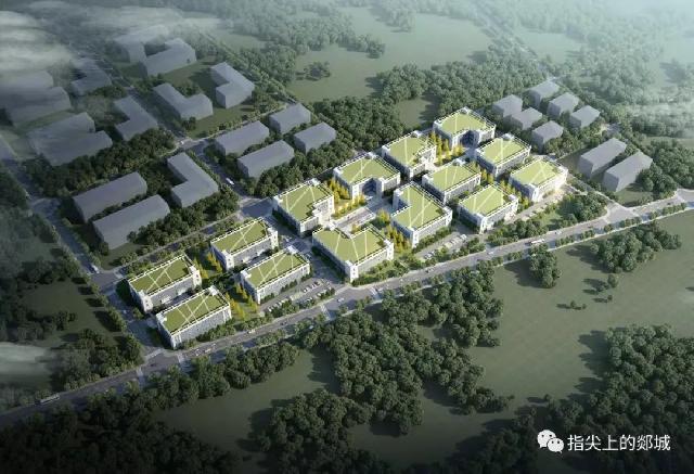 郯城又有两个产业园奠基！县长王立军这样要求……