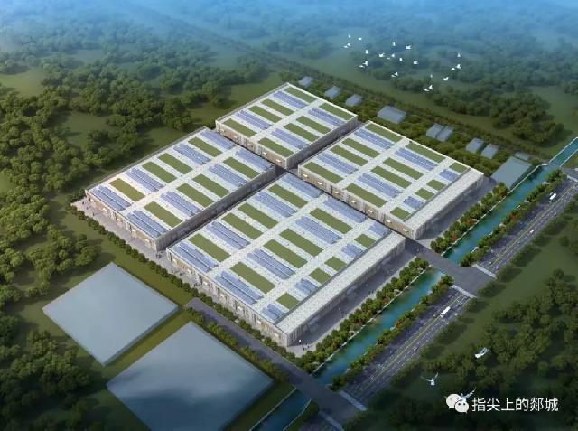 郯城又有两个产业园奠基！县长王立军这样要求……