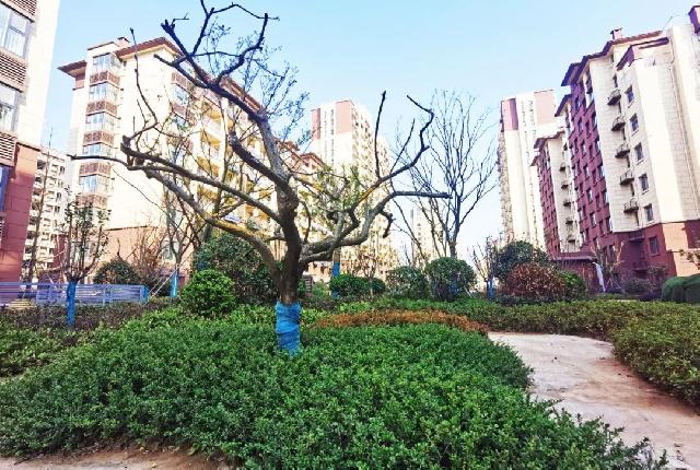 工程播报|书苑府邸 精工匠造 大城美好 眼见为实