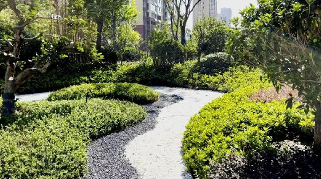 城发·书苑府邸|公园美宅 已实景现房销售 城发·书苑府邸|公园美宅 已实景现房销售