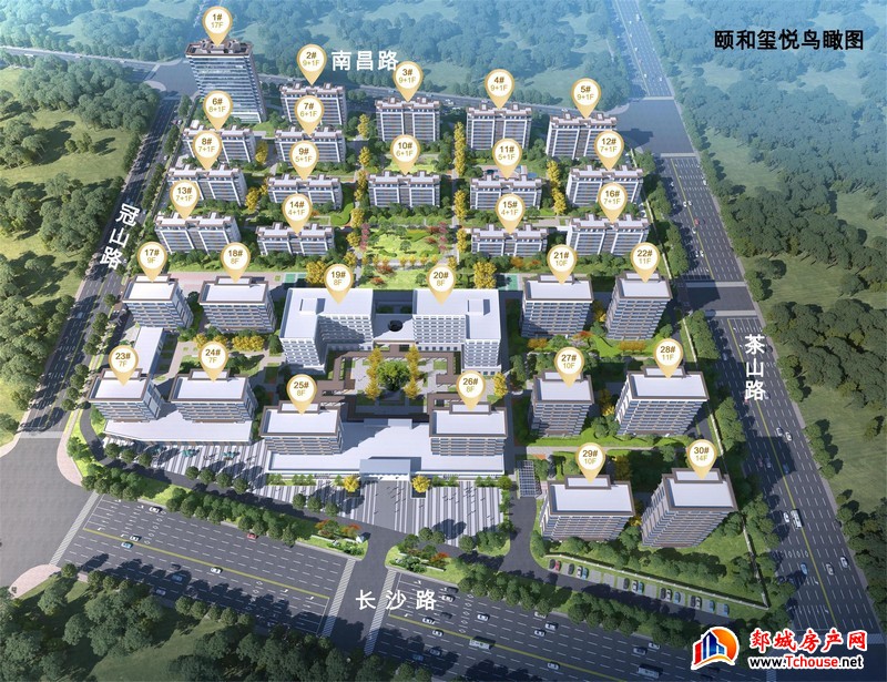 鸟瞰图 
